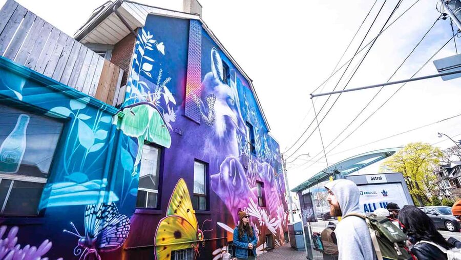 Toronto: Must Do NonTouristy Street Art Tour by local Artist - What Chloe adds to the experience