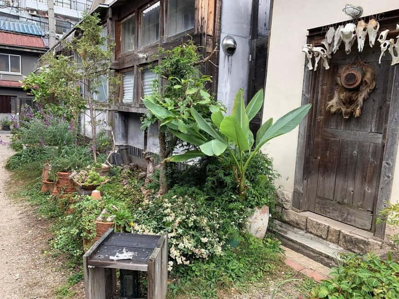 Urban Canvas: Osaka Street Art Bike Tour - Why this ride shows you a different Osaka