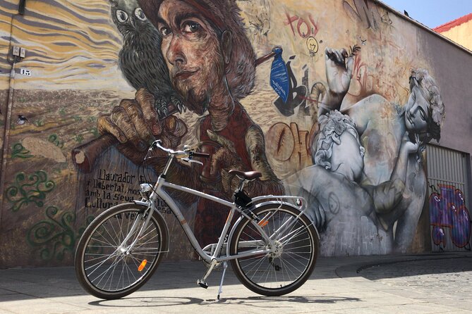 Valencia Street Art | Private Tour by Bike or Electric Ride - Why Valencia street art works so well by bike