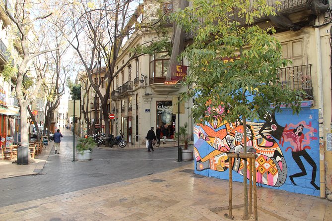 Valencia Street Art | Private Tour by Bike or Electric Ride - David, Clemin, and the human side of the tour