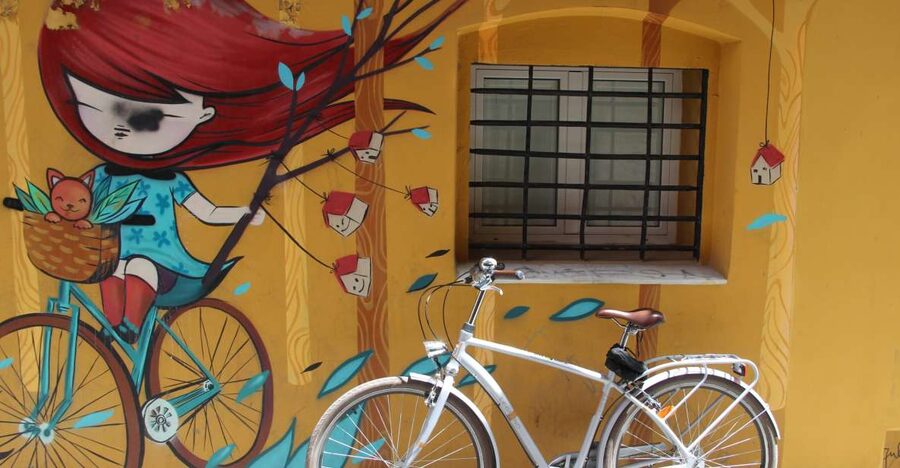 Valencia: Street Art Tour on Bicycle, E-Bike or E-Step - What the stops are like for photographs and questions