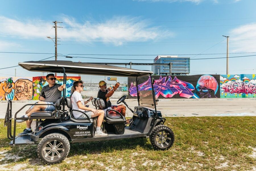 Wynwood Art District 1-Hour Street Art Tour by Golf Cart - Starting with Wynwood’s story