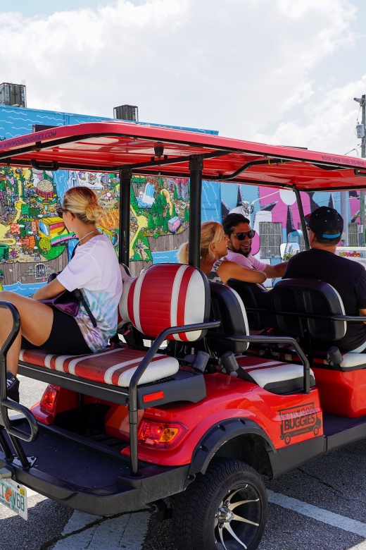 Wynwood Art District 1-Hour Wynwood Buggies Street Art Tour - A practical plan for your visit