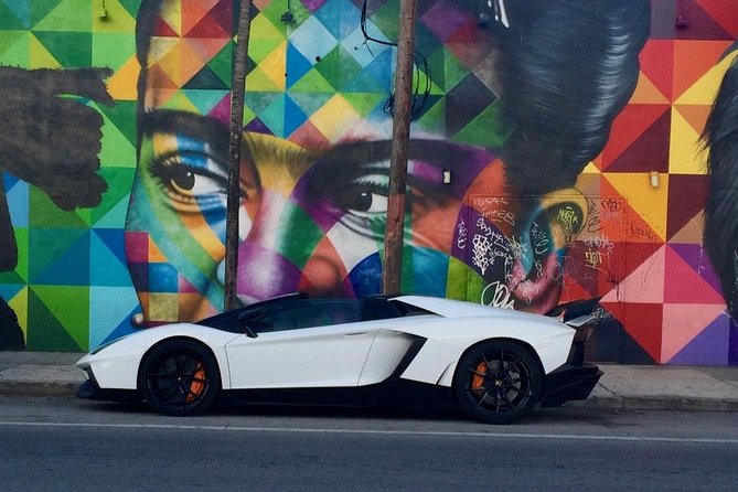 Wynwood French Guided Tour - Street Art - What the two-hour walk feels like