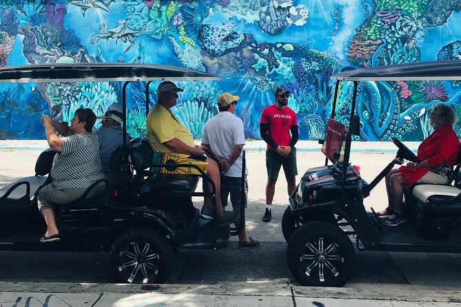 Wynwood Graffiti Golf Cart Small-Group Tour - The Wynwood Walls Question