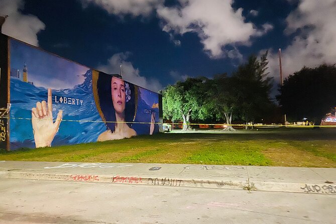 Wynwood Graffiti Golf Cart Tour After Dark - Museum of Graffiti: an exterior introduction only