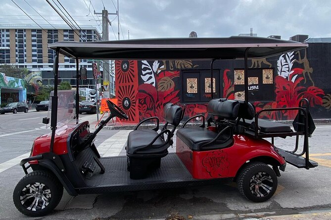 Wynwood Street Art Tour - Artist Lead -VIP Cart - Why an artist changes the Wynwood experience