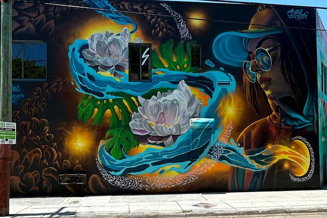 Wynwood Street Art Tour - Artist Lead -VIP Cart - The guide makes or breaks the hour