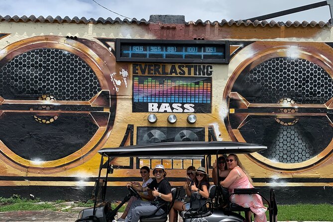 Wynwood Street Art Tour - Artist Lead -VIP Cart - Rolling through Wynwood in a private cart