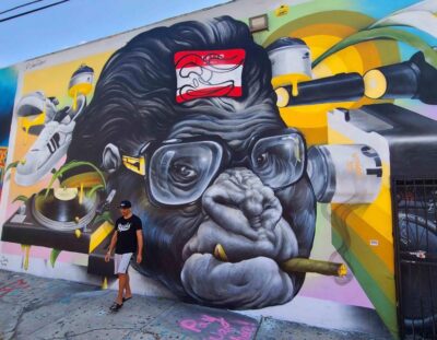 Wynwood walking tour in French (2h)