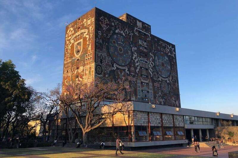 Xochimilco floating gardens, Coyoacan and UNAM murals - Key points to know before booking